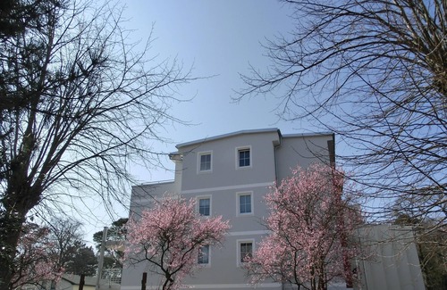 Seeheilbad Graal-Muritz Apartment | 3-zi.-fewo für 5 Pers. - im 2. OG in Ruhiger Lage mit Wlan