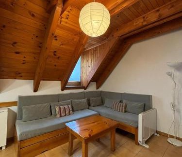 Pla de l'Ermita Apartment | 305 - Dúplex Pla de L'Ermita Boí Taüll