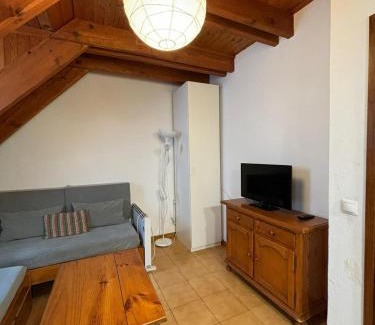 Pla de l'Ermita Apartment | 305 - Dúplex Pla de L'Ermita Boí Taüll