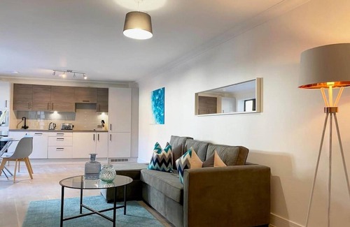 Rochester East Ward Apartment | 360 ME1 Sylvia Apts 01 - Modern Stylish 2 Bedroom 2 Bath Apt. 01 in Rochester