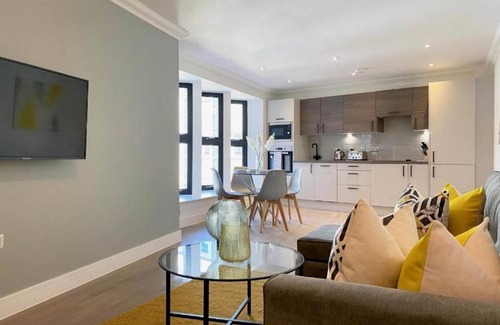 Rochester Apartment | 360 ME1 Sylvia Apts 02 - Modern Stylish 2 Bedroom 2 Bath Apt. 02 in Rochester