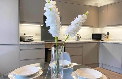 Rochester East Ward Apartment | 360 ME1 Sylvia Apts 03 - Modern Stylish 2 Bedroom 2 Bath Apt. 03 in Rochester