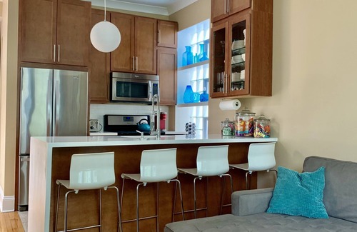 Near West Side Apartment | 3F Vintage Graystone in Little Italy near loop UIC United Ct & McCormick Place