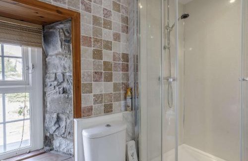 New Quay House | 4 Bed in New Quay 78589