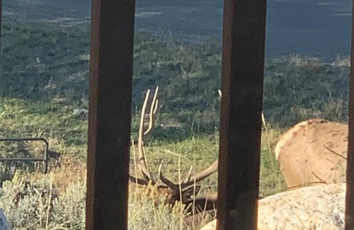 Gardiner House | 4 Bedroom 3 Bath Home At The Northern Entrance Of Yellowstone National Park