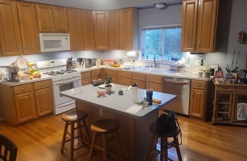 Ann Arbor House | 4 Bedroom Home, 2.7 miles to the Big House
