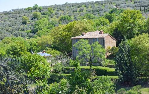 Paciano Apartment | 4 Bedroom Lovely Apartment In Paciano