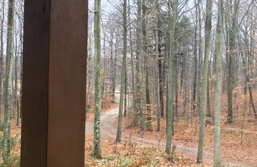 Egg Harbor Cabin | 40 acres, walking trails, AT&T fiber optics, fireplace - book winter escape now!