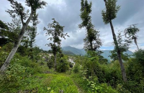 Kanthalloor Other | 4Acres Farm Stay and Natural Mudhouse