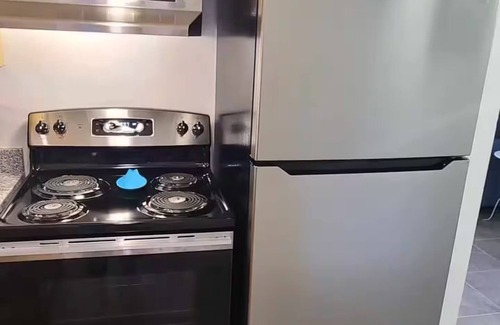 Bearss Plaza Apartment | 4k TV's, Soft Mattress, Remodeled, Moffitt, USF