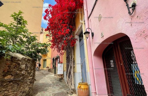 Collioure Apartment | 4PA44 - Apartment with swimming pool and parking