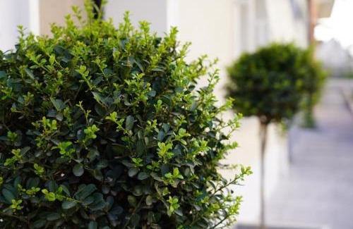Lamezia Terme Bed & Breakfast | 4ROOMS b&b - HOLIDAY HOME