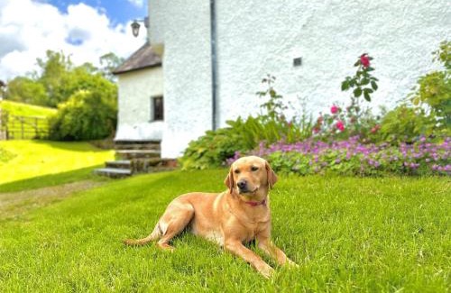 Kendal House | 5 Bed in Kendal 88095