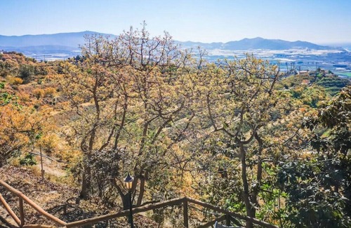 Motril House | 5 Bedroom Countryside House