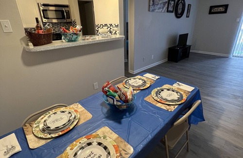 Arlington Apartment | 5 Mins From AT&T Stadium! Very Cozy 1 Bedroom With 1 Sofa Bed In Living Room