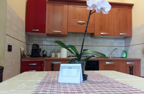 Montepulciano Apartment | 5 minutes from the historic center in Montepulciano accommodation for couples/families 4 pax