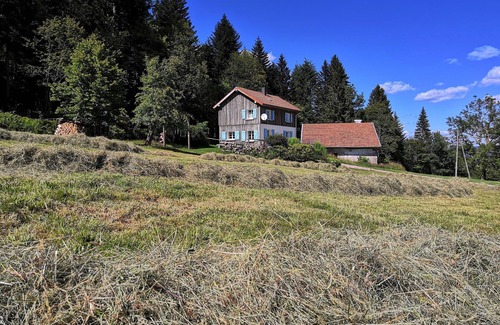 Gerardmer House | 5-person, 3-bedroom gîte in the heart of nature on the heights of Gérardmer