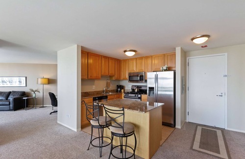 Downtown Chicago Apartment | 51st Floor MagMile Penthouse Views Balcony Pool