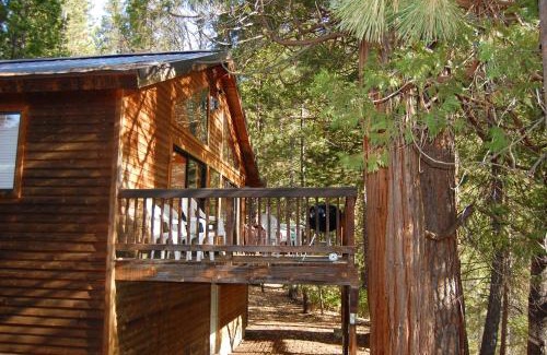North Wawona Ski Chalet | 5N Edmond's Place