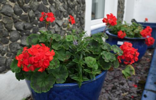 Borth-y-Gest House | 7 Mersey Street, Borth-y-Gest