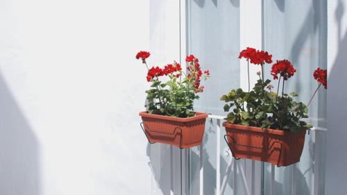 Rota Apartment | 7Escalones