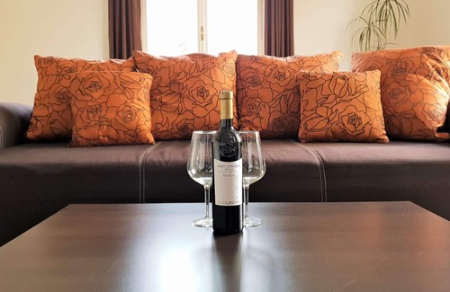 Karlovy Vary Apartment | A flat to fall in love with, quiet villa, exciting setup, all-new, wi-fi, garage