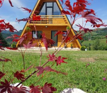 Bistra Cabin | A Frame Panoramic Apuseni