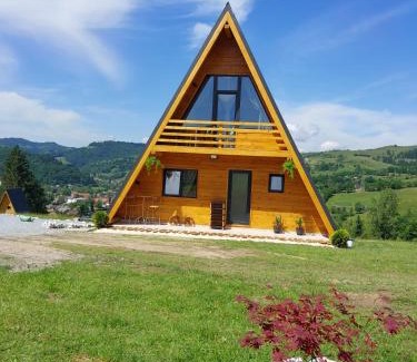 Bistra Cabin | A Frame Panoramic Apuseni