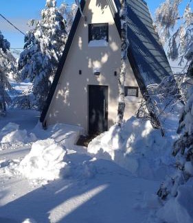 Mionica House | A frame Simić