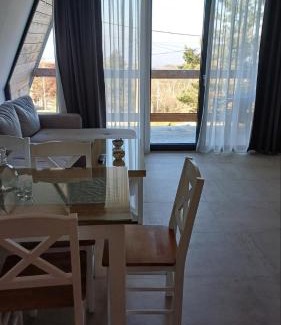 Mionica House | A frame Simić