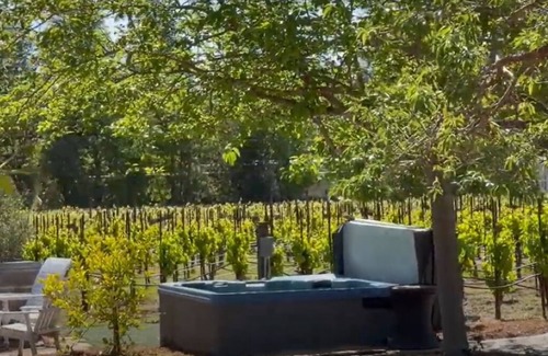 Sonoma House | A gated vineyard oasis with main house, pool house, hot tub, bocce & more