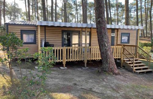 Saint-Julien-en-Born Other | A l ombre des pins 40 Mobil home 211