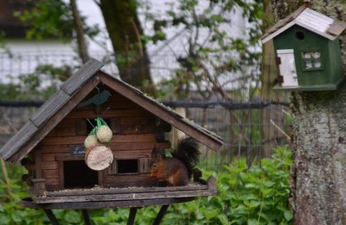 Longfaye House | A la ferme du Pere Eugene