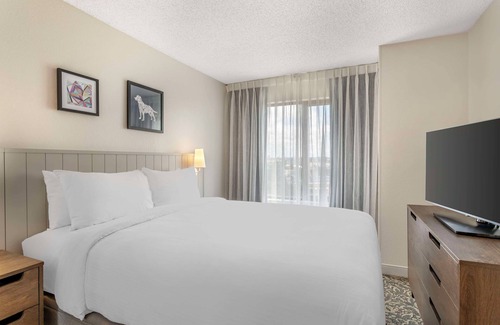 Downtown San Antonio Hotel | A Perfect Home Base for Exploring Alamo City Attractions! Free Buffet Breakfast