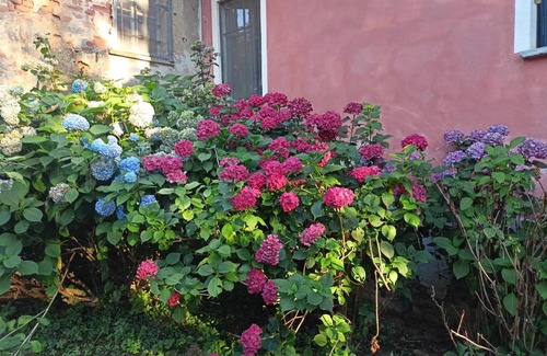 Pecetto Torinese House | A romantic suite in the countryside near Torino