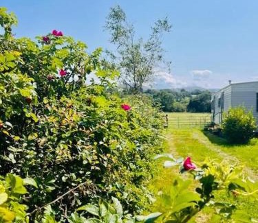 Bont Newydd Ski Chalet | A static haven