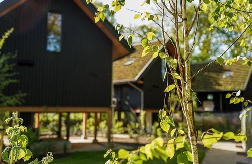 Municipality of Ede House | A unique forest stay – 2 en-suites, 2 floors, comfort for 5 guests.