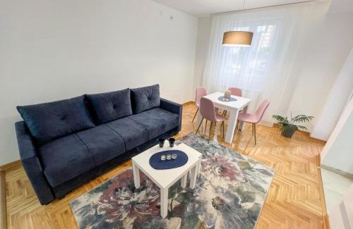 Kraljevo Apartment | A1 Miladinovic