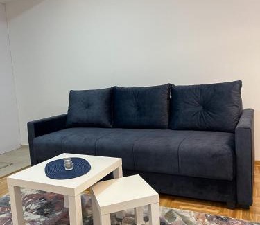Kraljevo Apartment | A1 Miladinovic