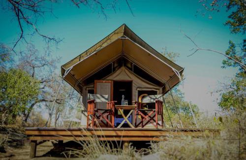 Mopani Other | Abelana Safari Camp