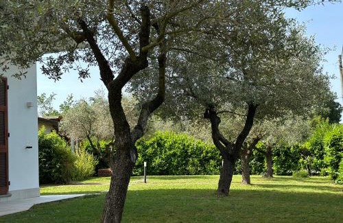 Borghetto-melara Apartment | Abitatt