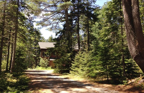 Mount Desert Cabin | Acadia Cabin on 2 Secluded Wooded Acres near Bar Harbor