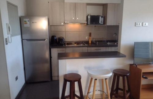 Temuco Apartment | Acogedor Departamento en Temuco