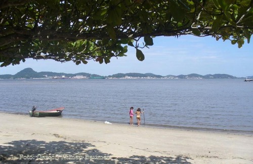 Coqueiros Apartment | Aconchegante Kitnete 1 dormitorio ,100. m do mar Florianopolis