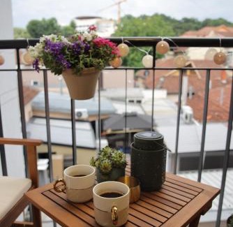 Vrnjacka Banja Apartment | Adagio Apartmani