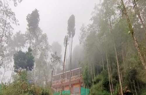 Lebong and Mineral Spring Tea Garden House | Adda hut by StayApart