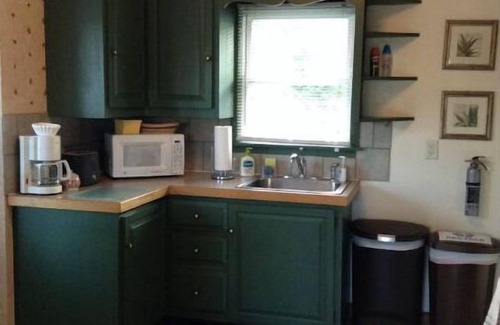 Lake Placid Apartment | Adirondack Abode - Cozy -Comfy -Convenient #200207