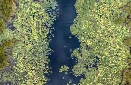 Indian Lake RV Rental | Adirondack Glamping on Private Lake and 330+ acres