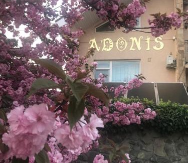 Uzhhorod House | Adonis