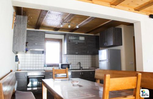 Canton 10 Ski Chalet | Adria